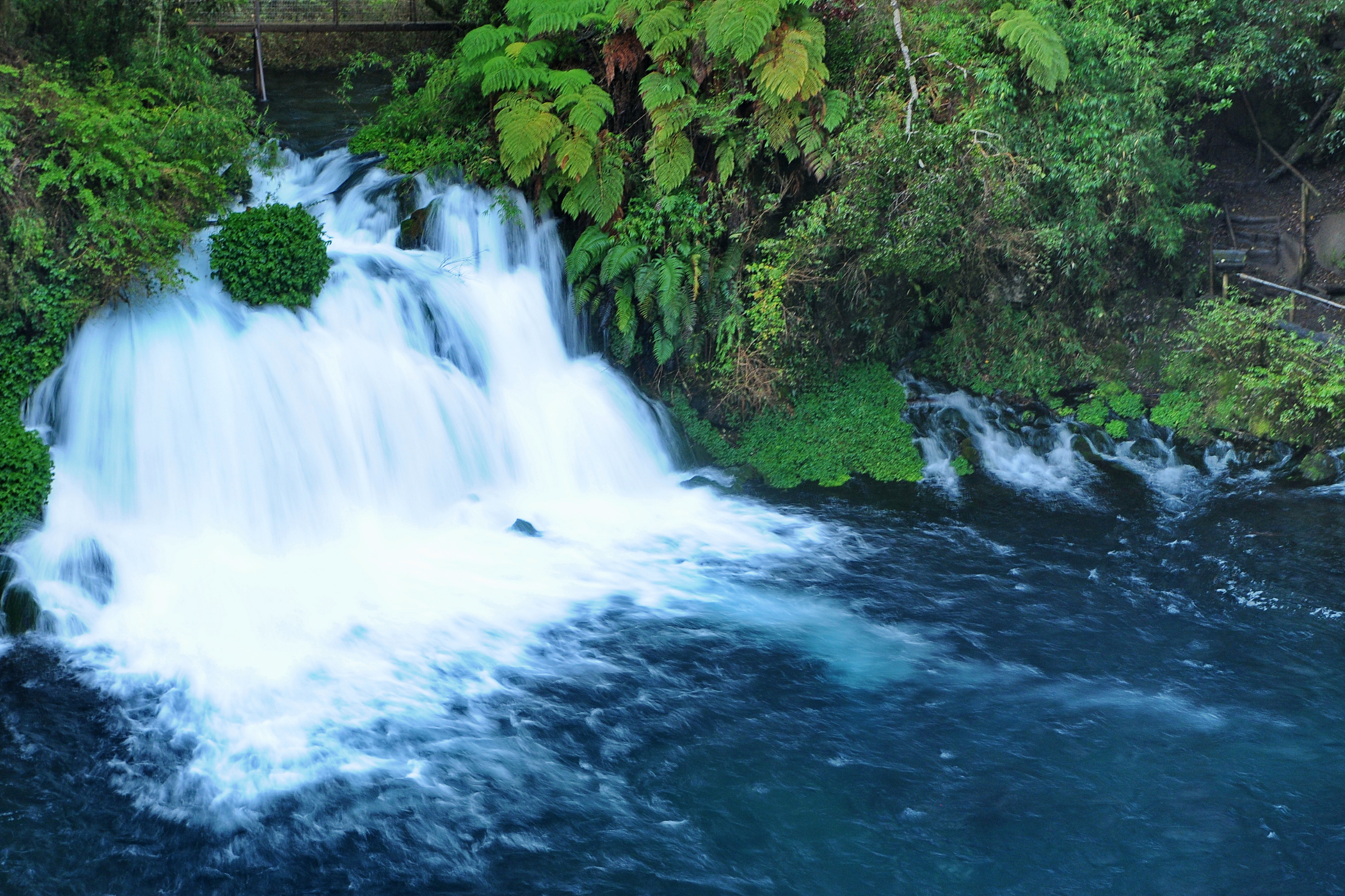laguna azul camp (2).webp